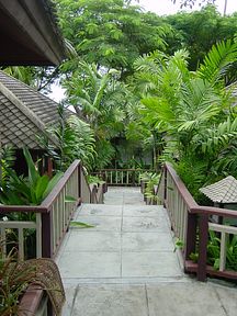 Koh Samui - Central Samui Village