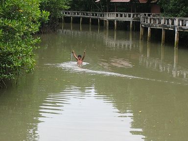 Koh Chang