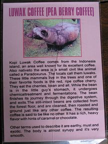 Bali - Beschreibung Luwak Kaffee (teuerster Kaffee weltweit