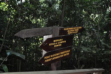 Kuala Lumpur - Stadtdschungel