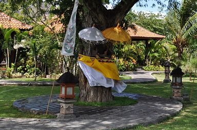  Bali - Pemuteran - Hotel Adi Assri Beach Cottages