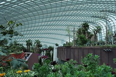 Singapore - Gardens by the Bay