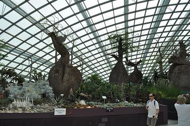 Singapore - Gardens by the Bay