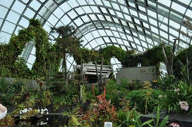 Singapore - Gardens by the Bay