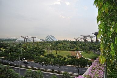 Singapore - Gardens by the Bay
