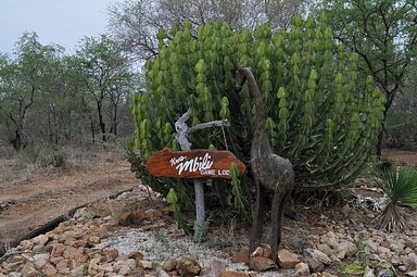 Kwa Mbili Game Lodge - Thornybush Reservat (Greater Kruger)