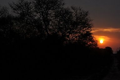 Thornybush Reservat (Greater Kruger Nationalpark)