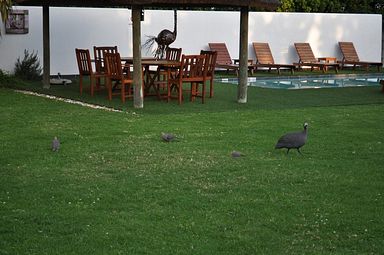 Waterfront Lodge - Knysna