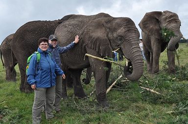 Knysna Elephant Park
