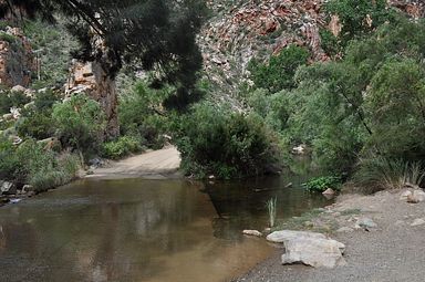 Swartbergpass