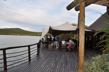 Buffelsdrift Lodge - Oudtshoorn