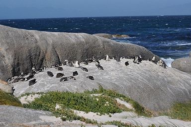 Simon's Town/Boulders