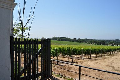 Groot Constantia Weingut