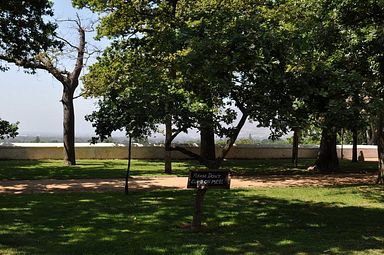 Groot Constantia Weingut