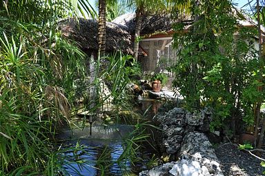 Cebu - Dolphin House, Moalboal