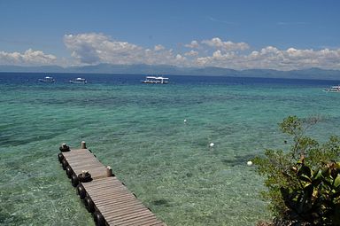 Cebu - Dolphin House, Moalboal