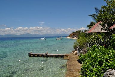 Cebu - Dolphin House, Moalboal