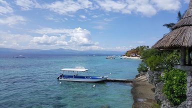 Cebu - Dolphin House, Moalboal