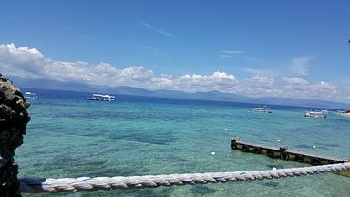 Cebu - Dolphin House, Moalboal