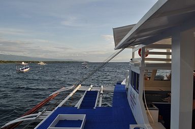 Cebu - Dolphin House, Moalboal