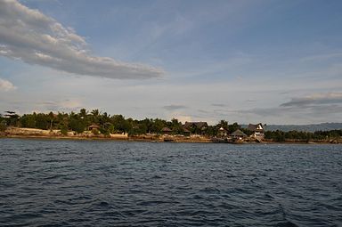 Cebu - Dolphin House, Moalboal