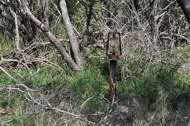 Kwa Mbili Game Lodge, Thornybush (Greater Kruger)