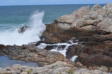 Hermanus