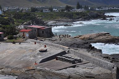 Hermanus