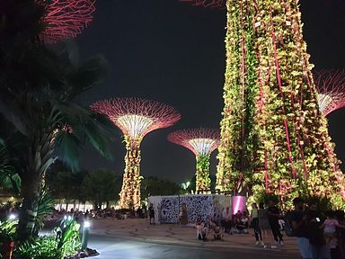 Gardens by the Bay, Singapore