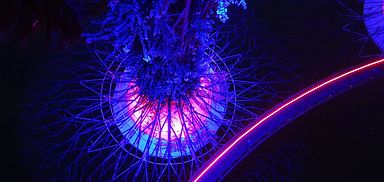 Gardens by the Bay, Singapore