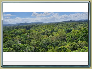 Skyrail Smithfield (Cairns - Kuranda)