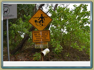 Cape Tribulation (QLD)