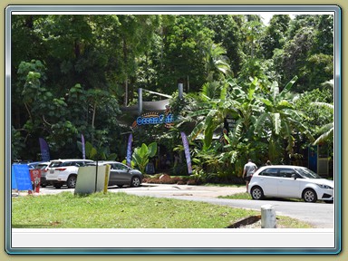 Cape Tribulation (QLD)