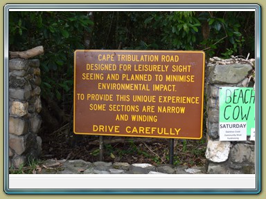 Daintree Ferry (QLD)