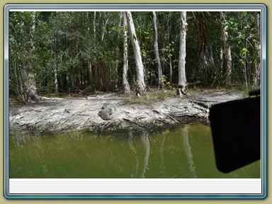 Hartley's Crocodile Adventures,Wangetti (QLD)