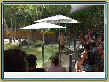 Hartley's Crocodile Adventures,Wangetti (QLD)