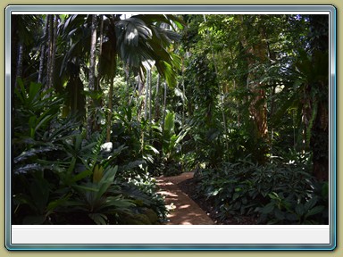 Cairns - Botanic Gardens (QLD)
