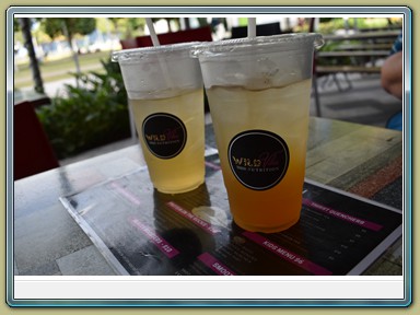 Cairns - Esplanade (QLD)