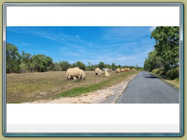 Jaques Coffee Cafe & Restaurant, Mareeba (QLD)