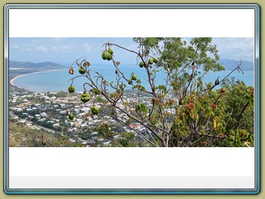 Castle Hill Lookout, Townsville (QLD)