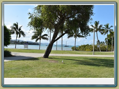 Airlie Beach (QLD)