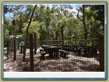 Fraser Island (QLD)