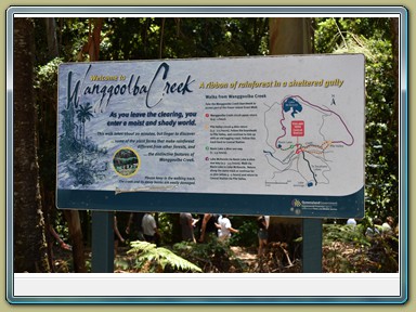 Central Station, Fraser Island (QLD)