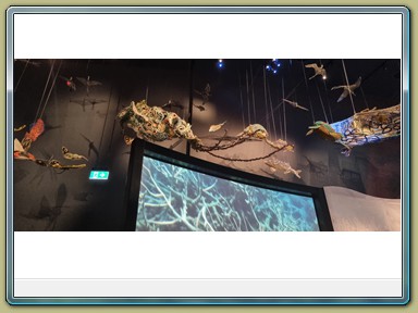 National Museum of Australia, Canberra (ACT)