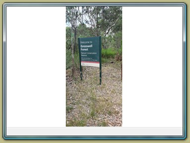 Gresswell Forest, Melbourne (VIC)