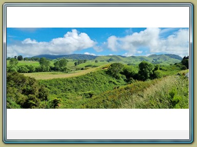 New Zealand Highway 1
