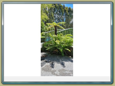 Wairakei Terraces and Thermal Health spa, Taupo (NZL)