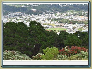Mount Victoria Lookout, Wellington (NZL)
