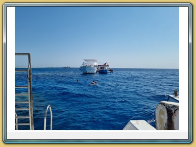 Tauchfahrt zum Tabia Arbaa Reef