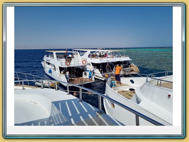 Tauchfahrt zum Panorama Reef